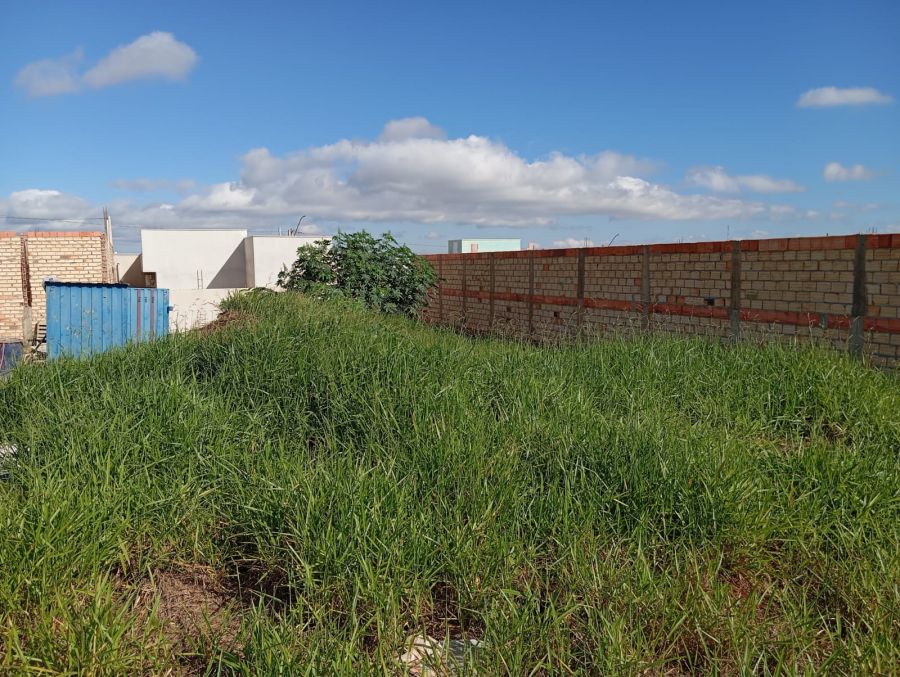 Terreno - Venda - Jardim América - Santa Cruz do Rio Pardo - SP